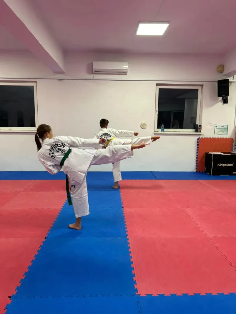 Taekwondo Gorenjska