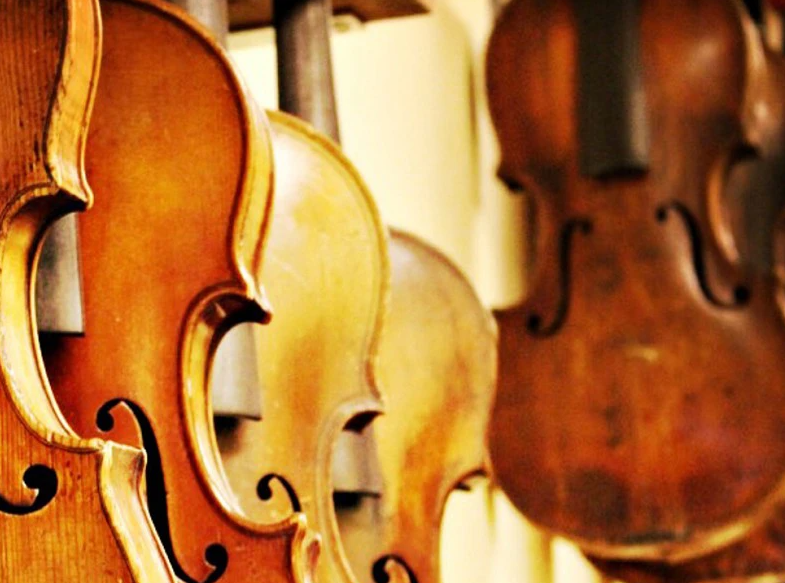 Trgovina z glasbenimi inštrumenti Ljubljana, okolica