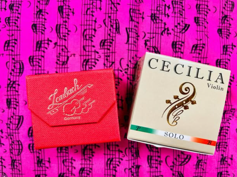 Butik z glasbili Ljubljana, okolica