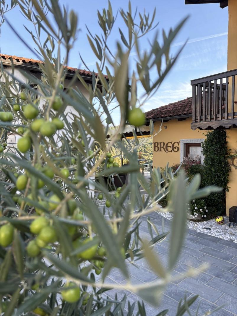 Prenočitev na turistični kmetiji v Goriških Brdih