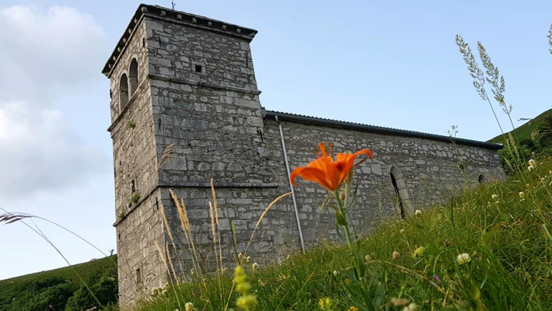 Vpis v TD Podnanos, Goriška