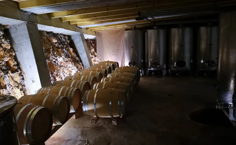 Prestižna vina in vinska zbirka Colja