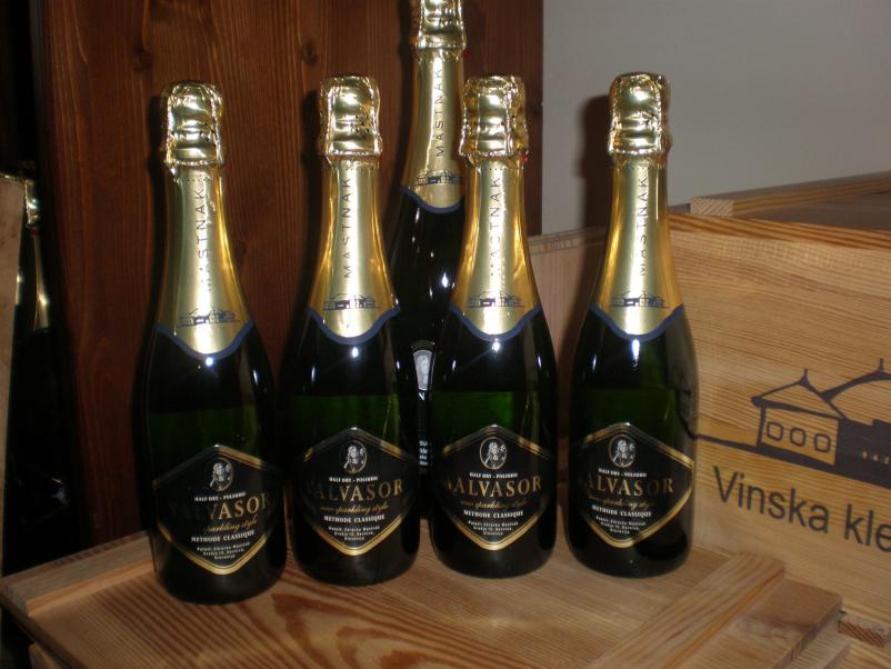 Vrhunske penine in buteljčna vina Posavje