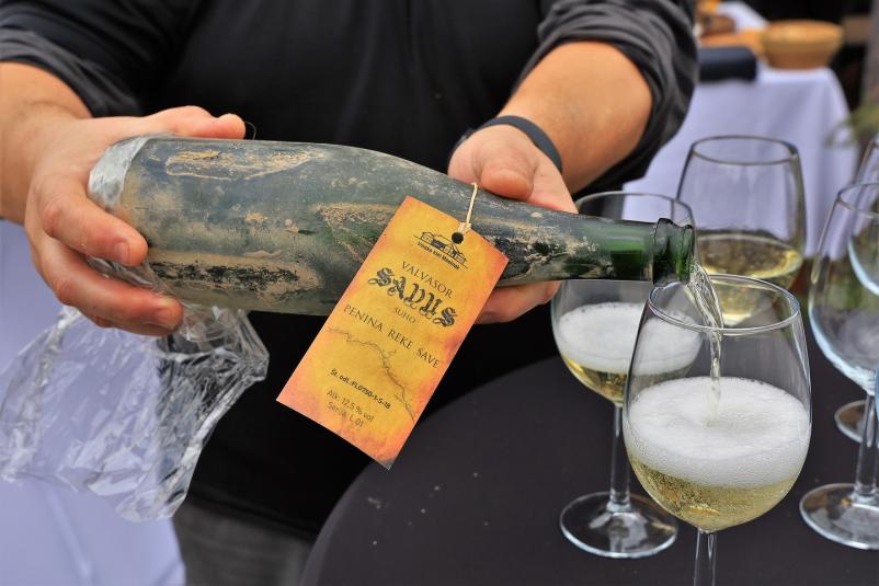 Vrhunska peneča vina Posavje