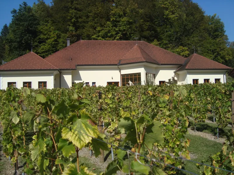 Domača buteljčna vina Sevnica, Posavje