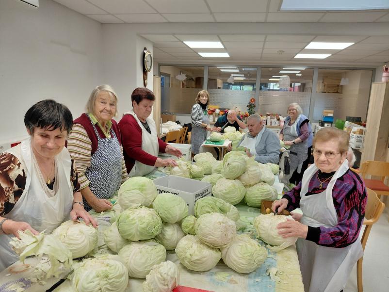 Oskrbovan dom za ostarele Slovenska Bistrica