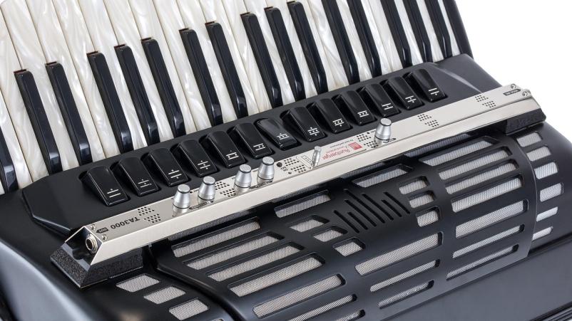 Zasebni učitelj harmonike Štajerska