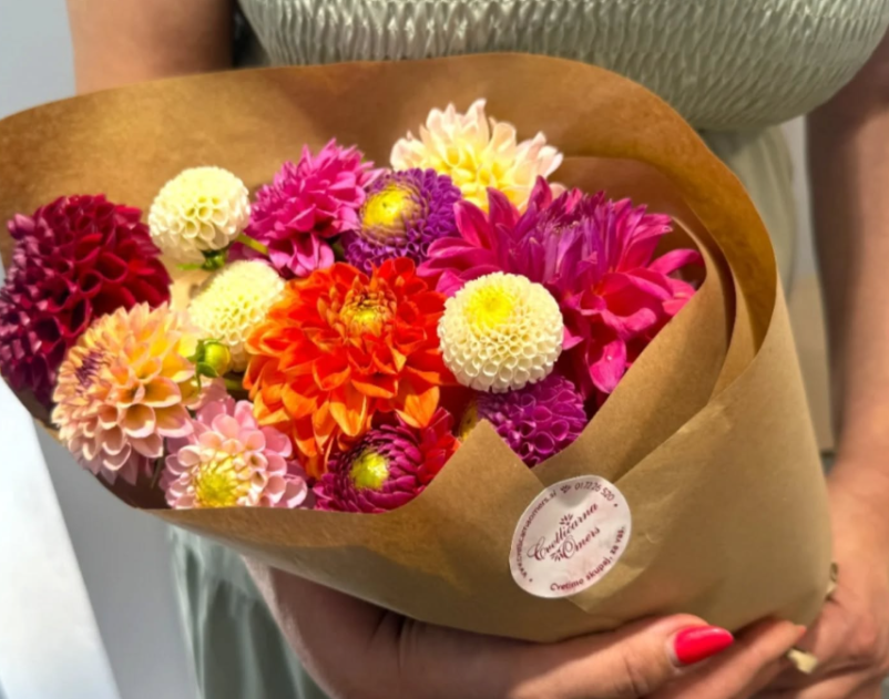 Ugodna dostava šopkov na dom Slovenija