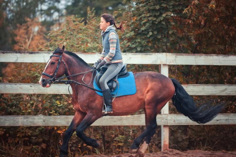 Dresurno jahanje konj Divača, Primorska