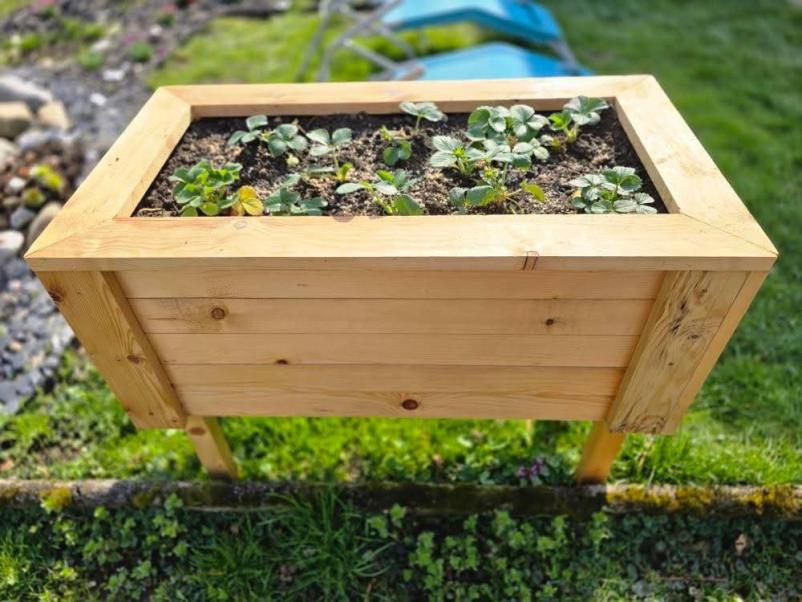 Visoke grede v Mariboru