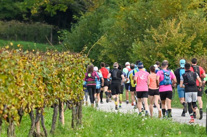 Javni zavod Nova Gorica, Goriško