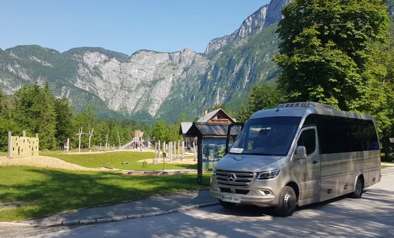 Ugoden kombi z voznikom Gorenjska