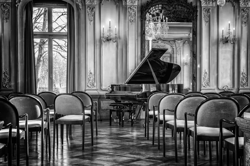 Organizacija koncertov baročne in renesančne glasbe Osrednja Slovenija
