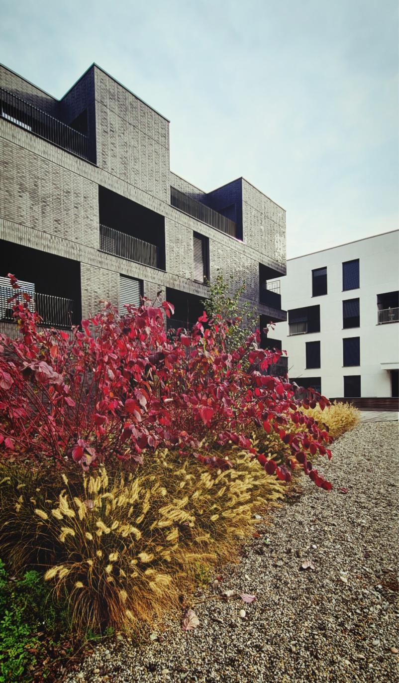 Oblikovanje in načrtovanje zunanjih površin Štajerska