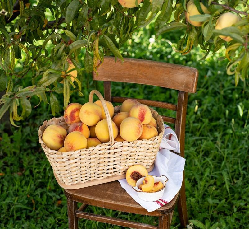 Domače sadne marmelade iz Vipave