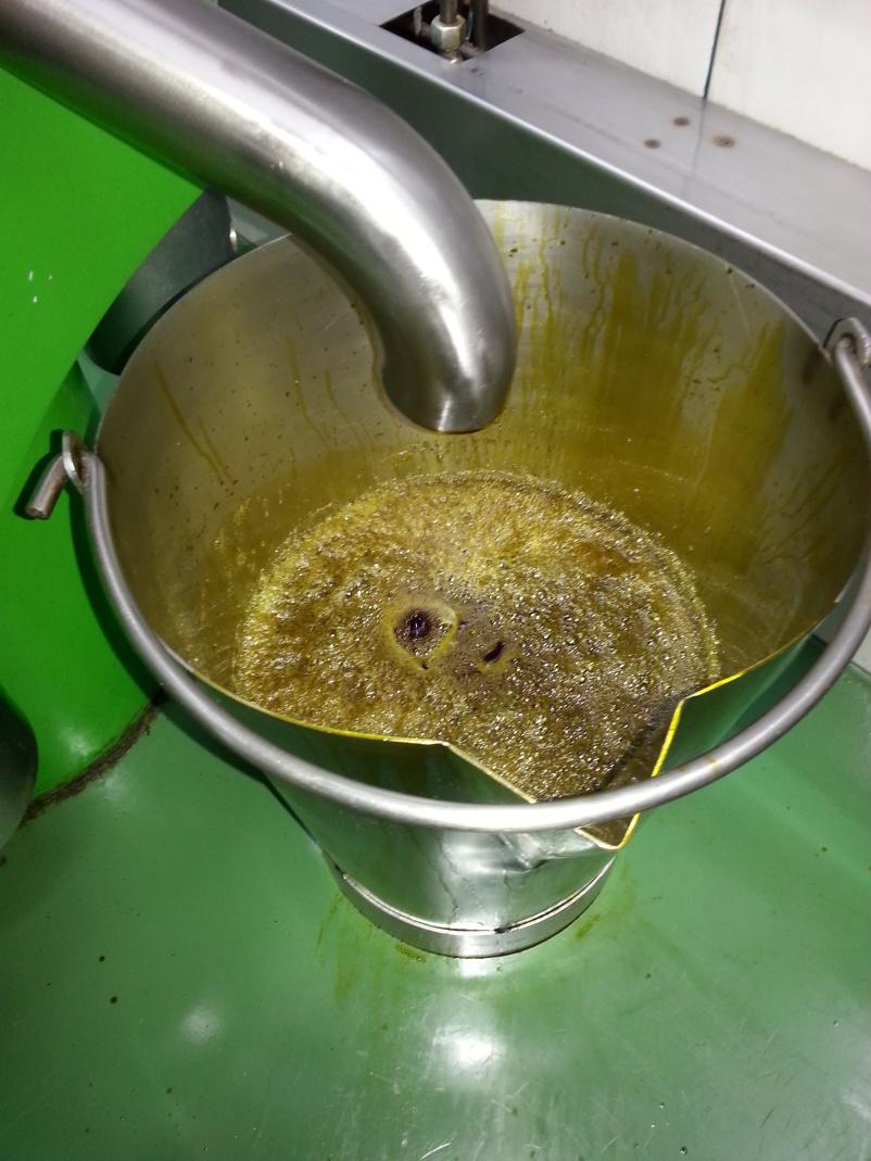 Slovensko bučno olje Rogašovci