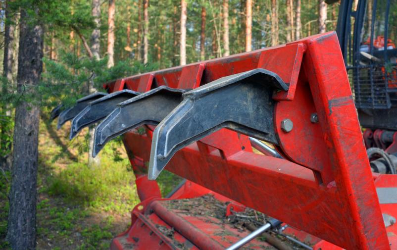 Ugodno mulčenje Grgar, okolica