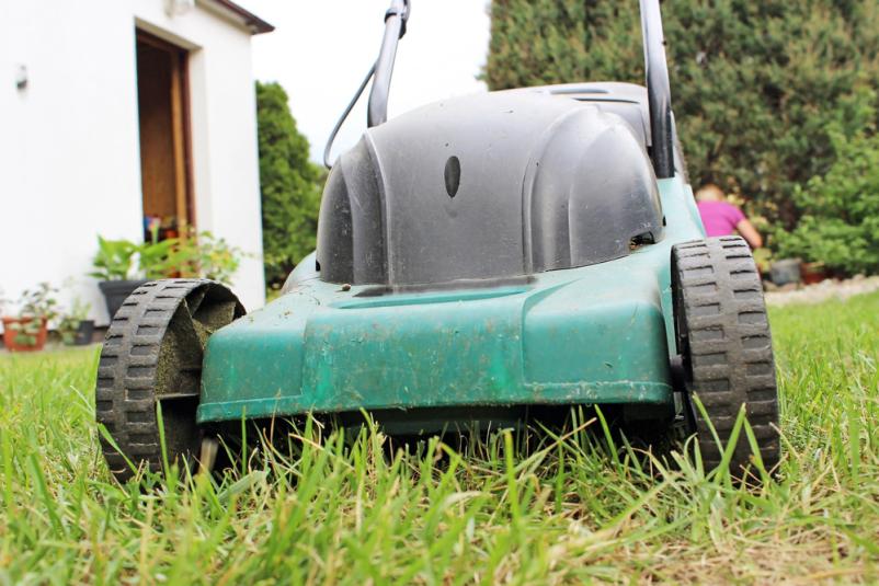 Urejanje zaraščenih površin Ankaran