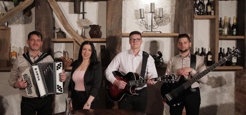 Nastop ansambla za dogodke Slovenija