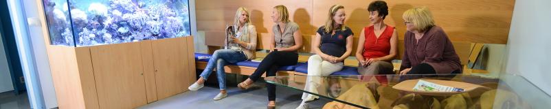 Nuhalna svetlina Krško