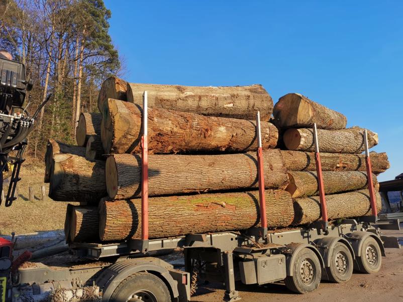 Odkup hrastove hlodovine