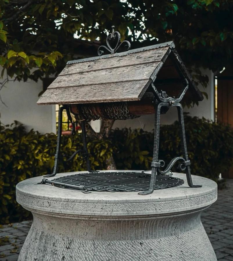 Oljčno in bučno olje Slovenija