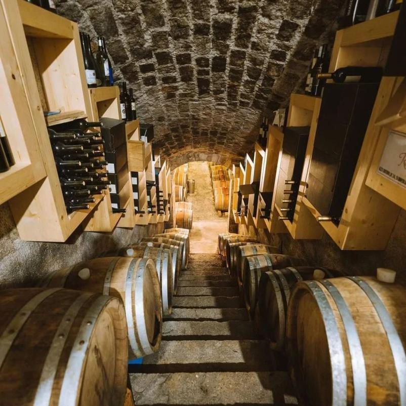 Kakovostna hladno stiskana olja EU