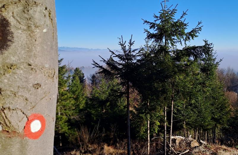 Odseki Planinskega društva Medvode