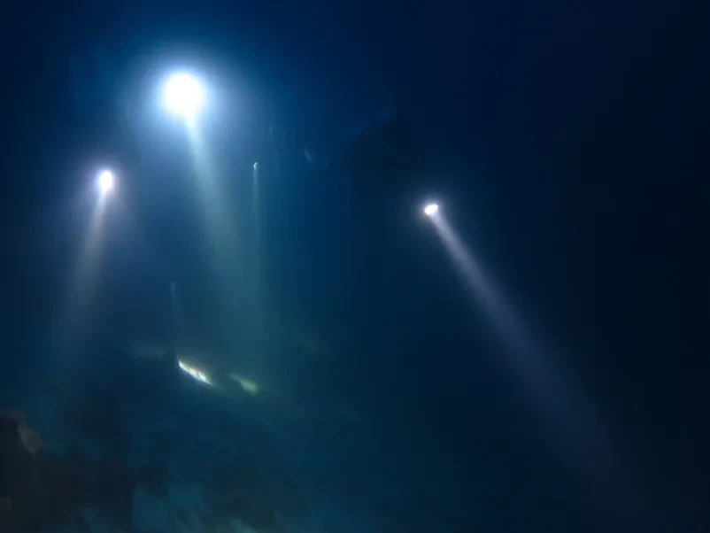 Športne in video svetilke Novo mesto