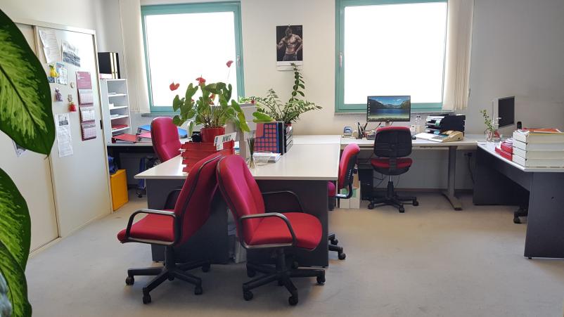 Računovodski servis