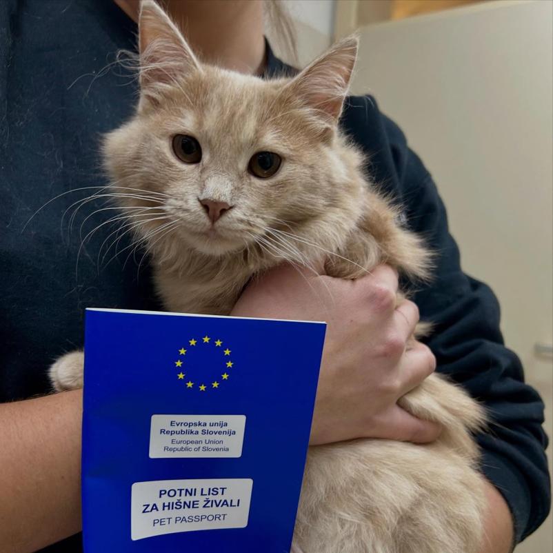 Rentgen za ljubljenčke Bela krajina