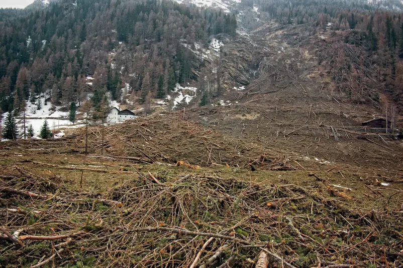 Hitra sanacija plazov, brežin in hudournikov po Sloveniji