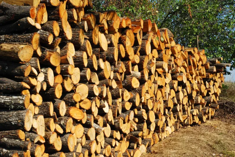 Gozdarska dela Litija, Slovenija