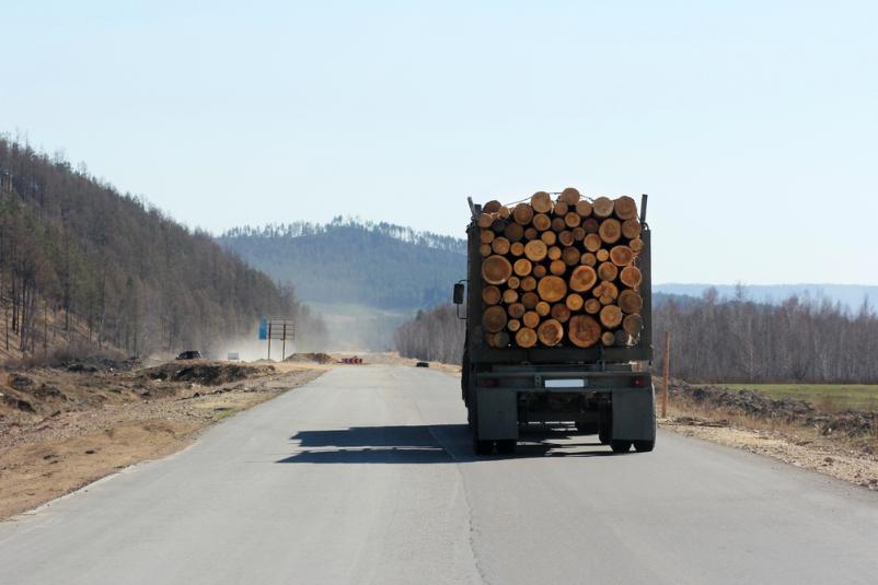 Podiranje in odvoz lesa na zahtevnih in dostopnih terenih Slovenija