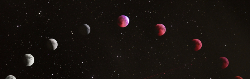 Spletna prodaja mističnih kart