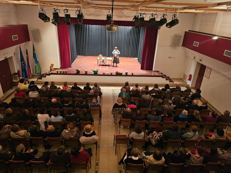 Stand up comedy Slovenija