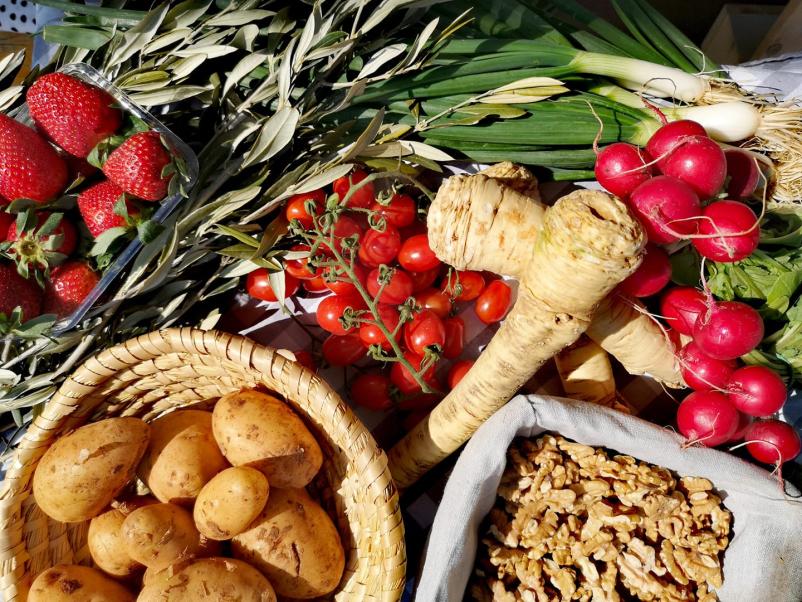 Sveže sadje Brežice, Dolenjska