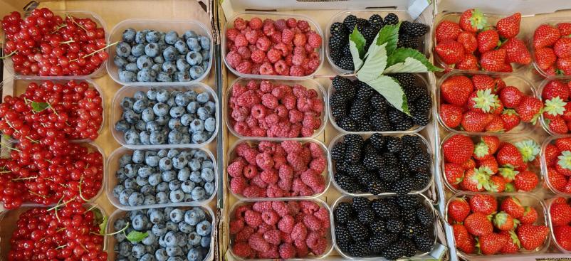 Sadje in zelenjava s tržnice Brežice, Dolenjska