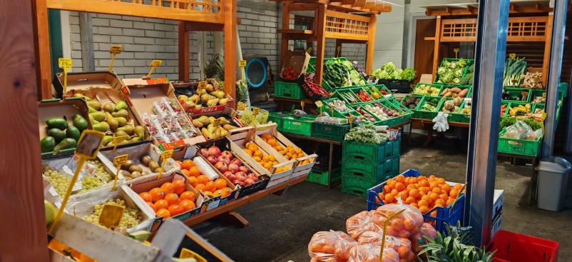 Sveži sadni in zelenjavni pridelki Dolenjska