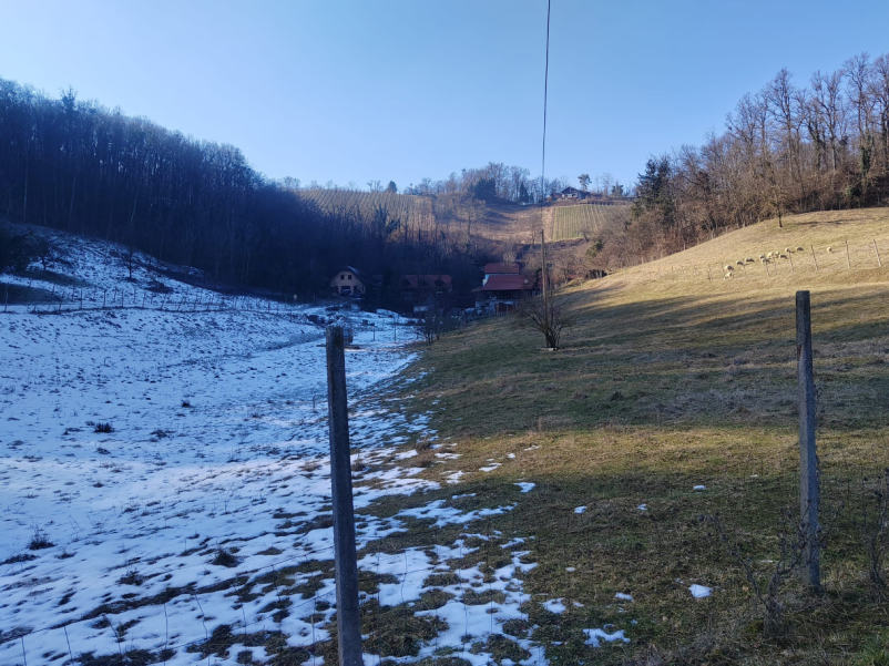 Kmečki turizem in prostor za praznovanja Brežice, Posavje