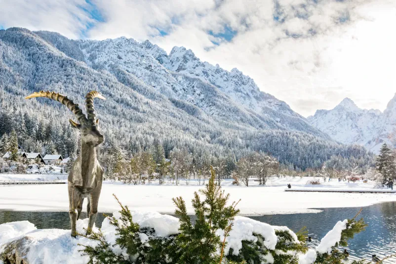 Ugodna prenočitev Kranjska Gora
