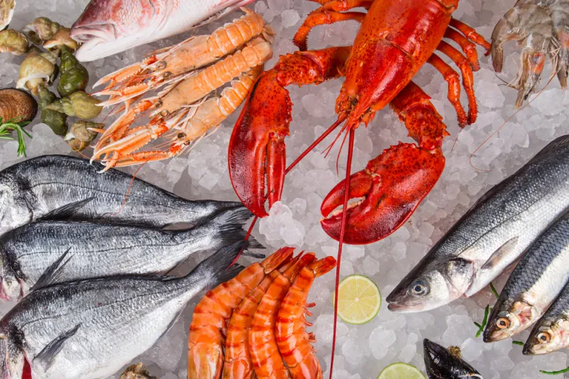 Veleprodaja morskih sadežev po Sloveniji