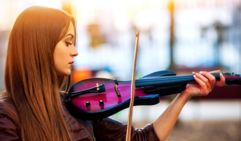 Nakup violine Gorenjska