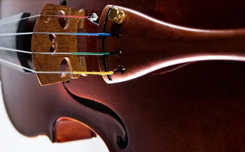 Pripomočki za igranje violončela Gorenjska