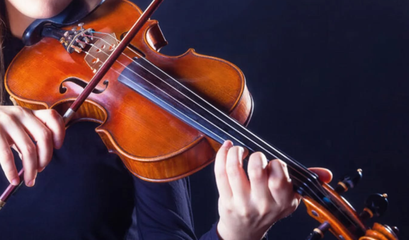 Prodaja kvalitetnih godal Gorenjska