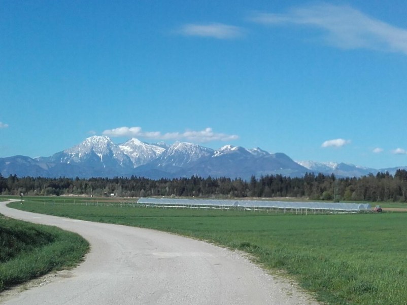 Živinorejska kmetija Škofja Loka