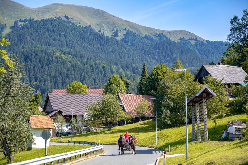 Doživetje kmečkega življenja v naravi Jesenice