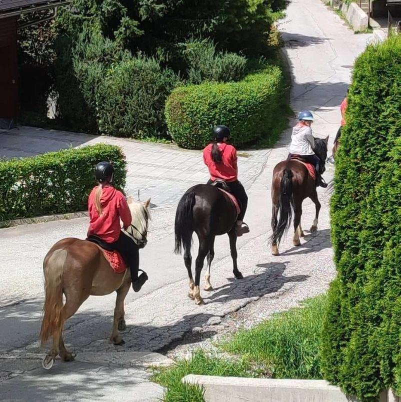 Počitniški tabori na kmetiji s konji Jesenice