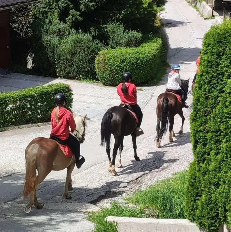 Počitniški tabori na kmetiji s konji Jesenice