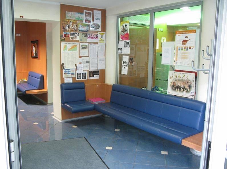 Cepljenje hišnih ljubljenčkov v Prekmurju